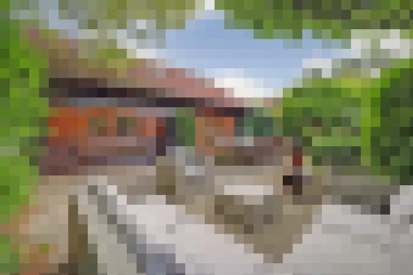 Plaggeweg 90 0060 Vierhouten thumbnail 7