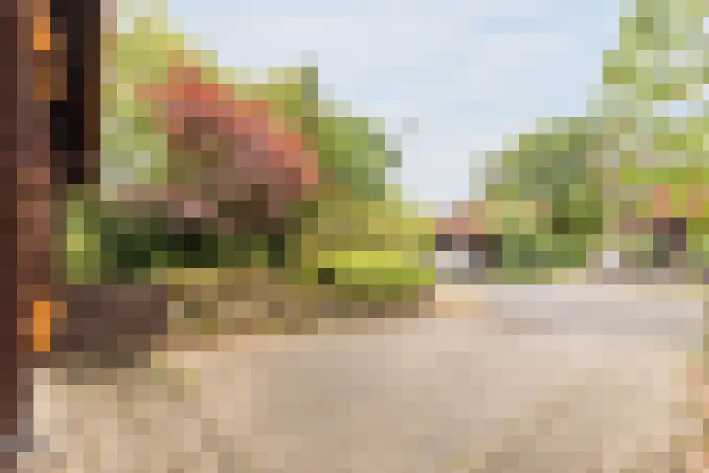 Plaggeweg 90 0066 Vierhouten thumbnail 47