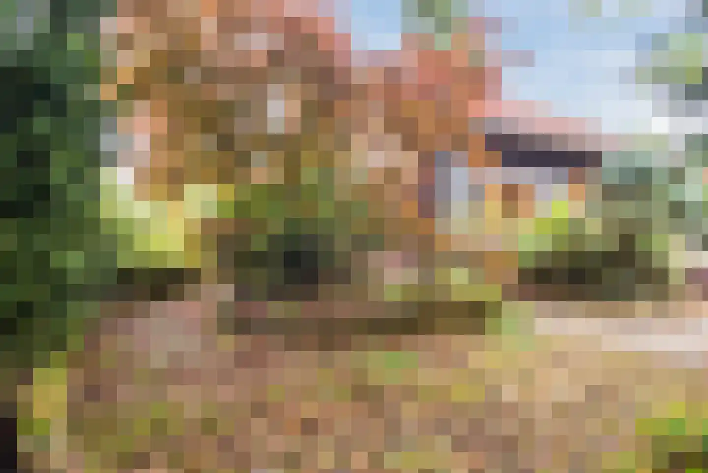 Plaggeweg 90 0066 Vierhouten thumbnail 49