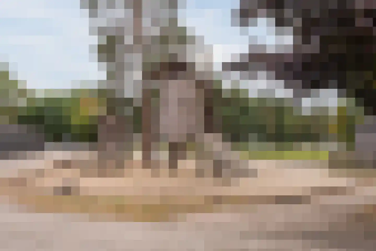 Plaggeweg 90 0066 Vierhouten thumbnail 54