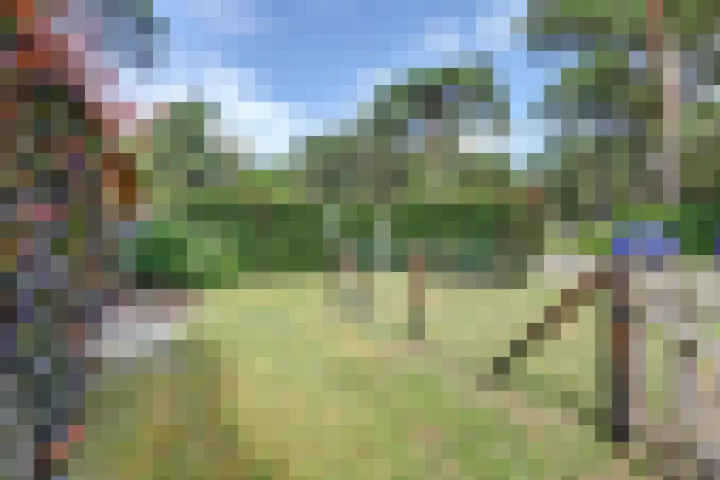 Plaggeweg 90 0096 Vierhouten thumbnail 22