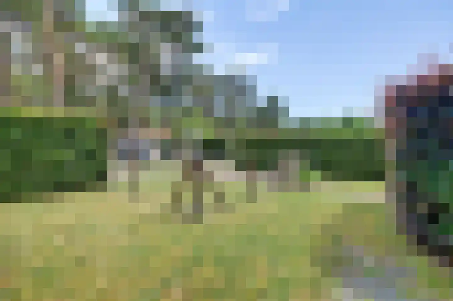 Plaggeweg 90 0096 Vierhouten thumbnail 25