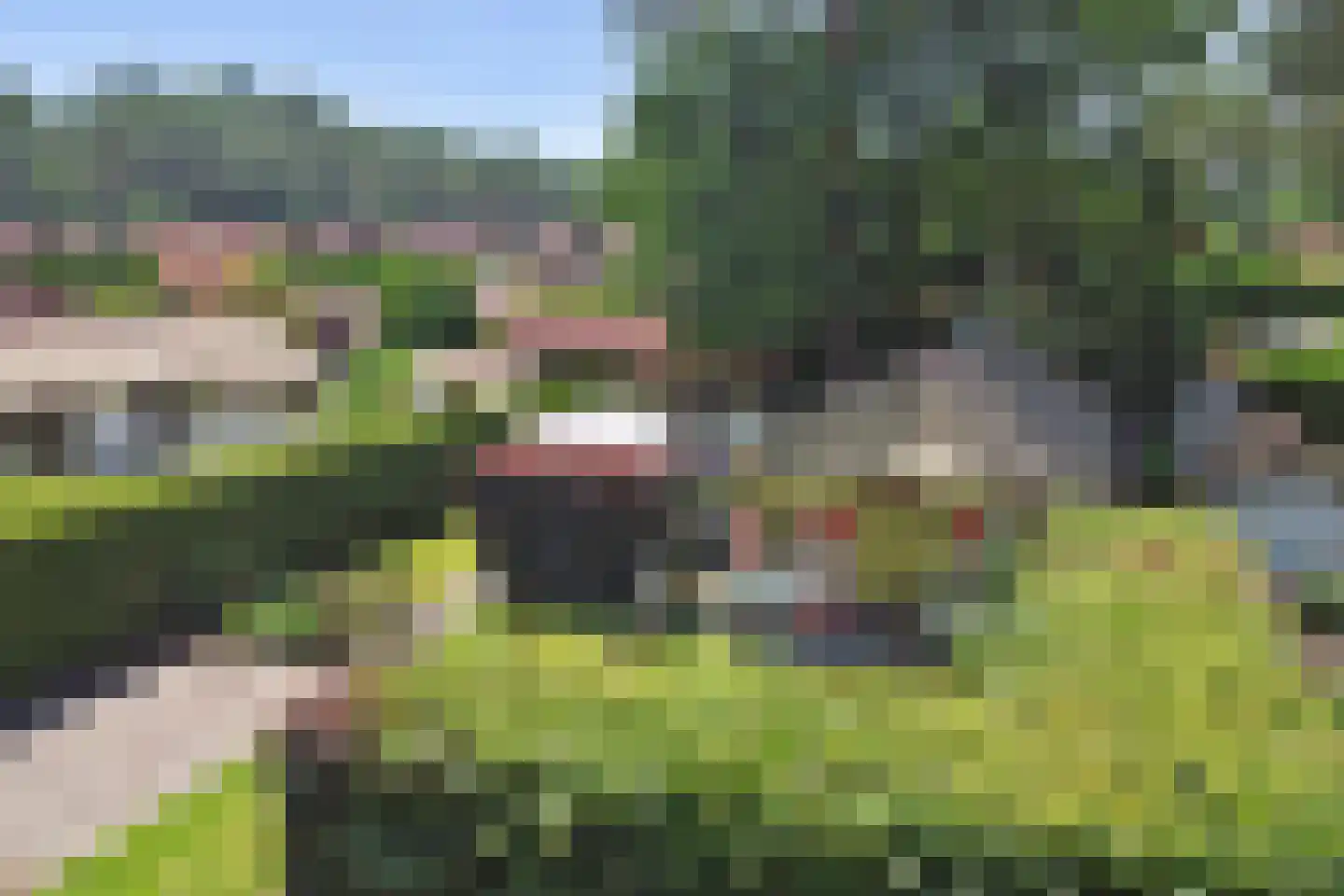 Plaggeweg 90 0096 Vierhouten thumbnail 26