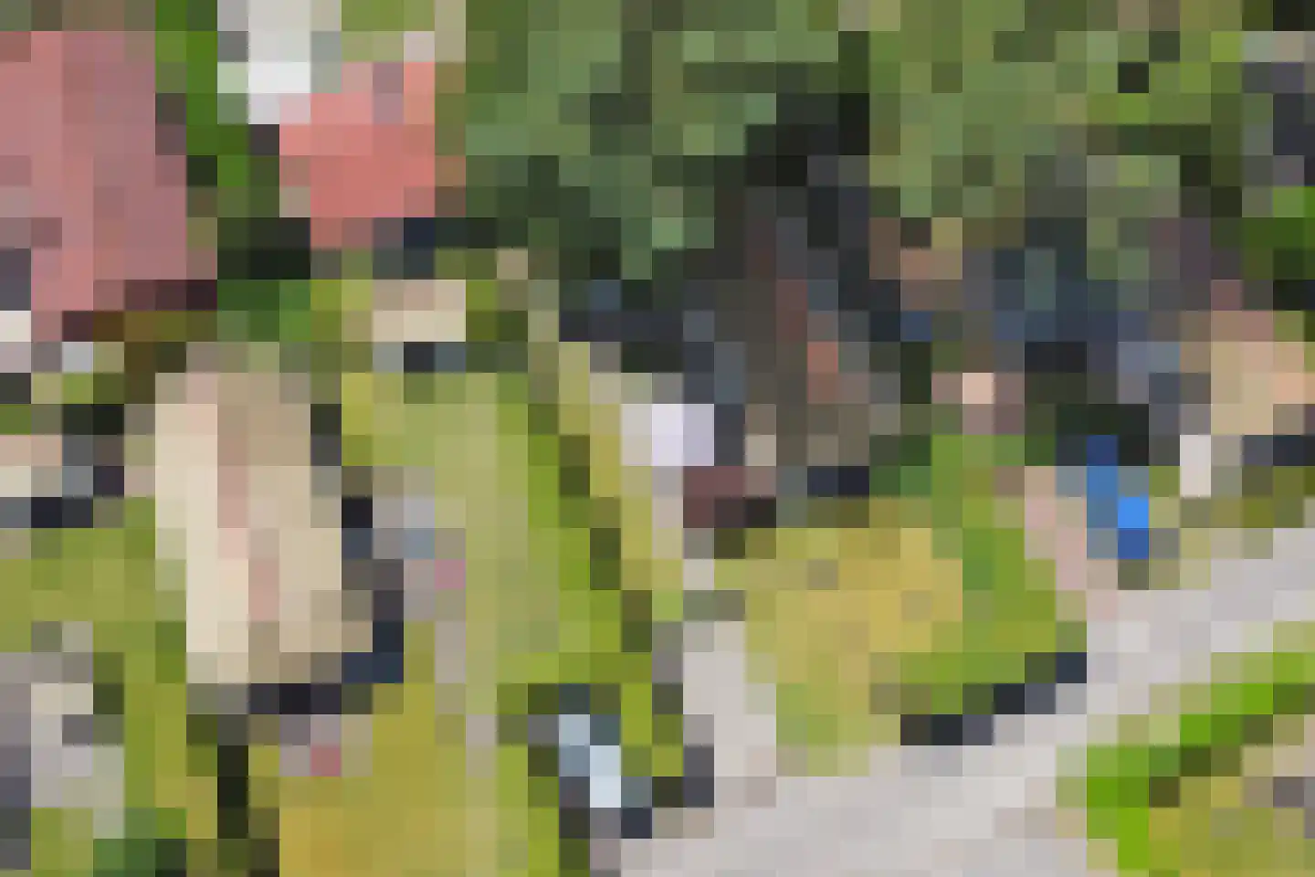 Plaggeweg 90 0096 Vierhouten thumbnail 29