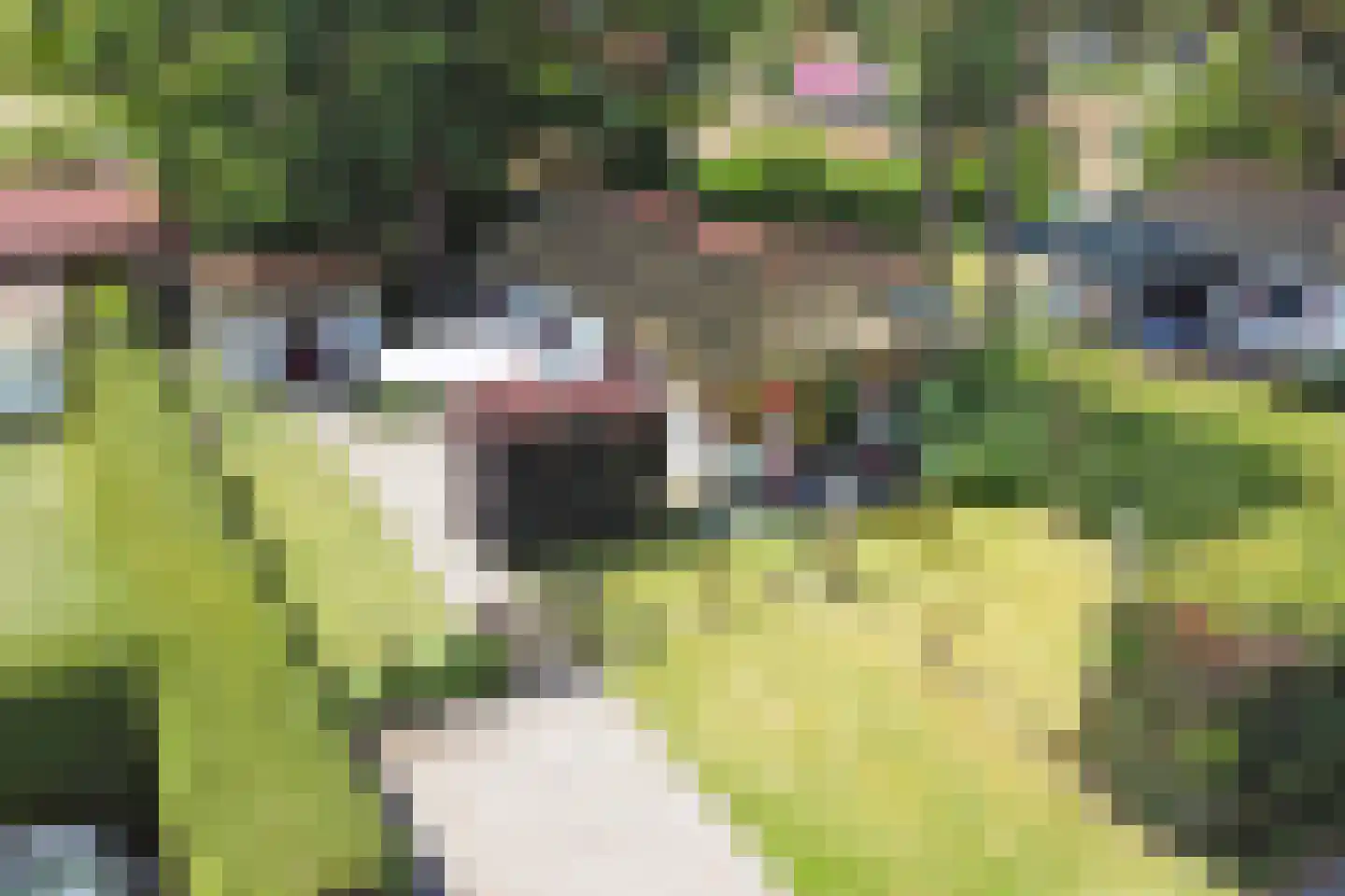 Plaggeweg 90 0096 Vierhouten thumbnail 31