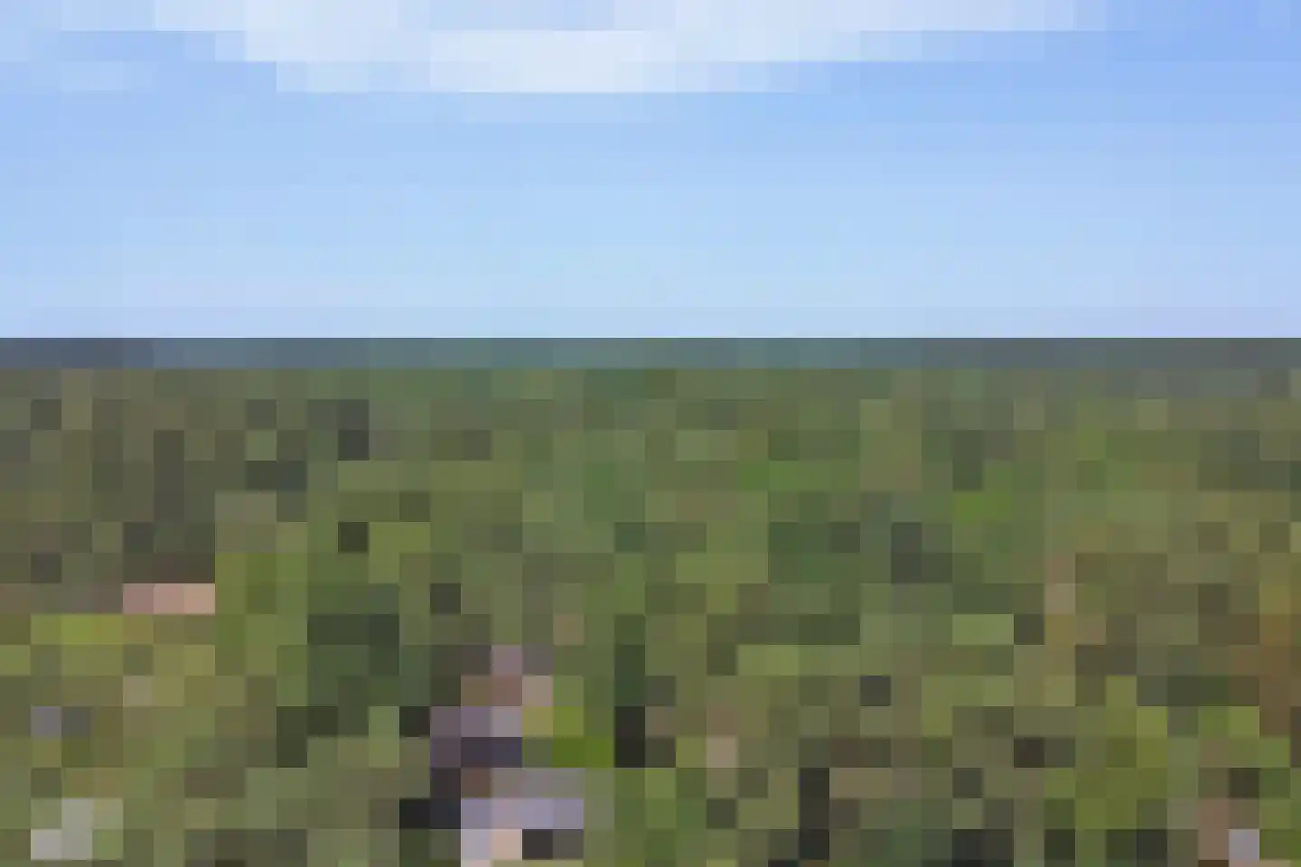 Plaggeweg 90 0096 Vierhouten thumbnail 33