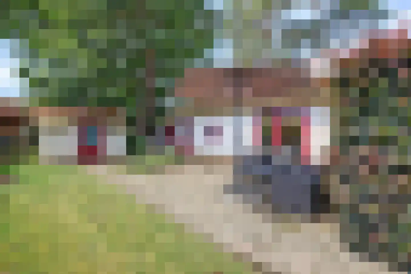 Plaggeweg 90 0096 Vierhouten thumbnail 7