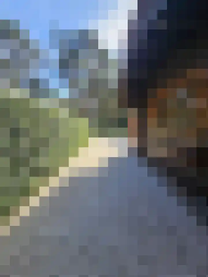 Plaggeweg 90 0111 Vierhouten thumbnail 27