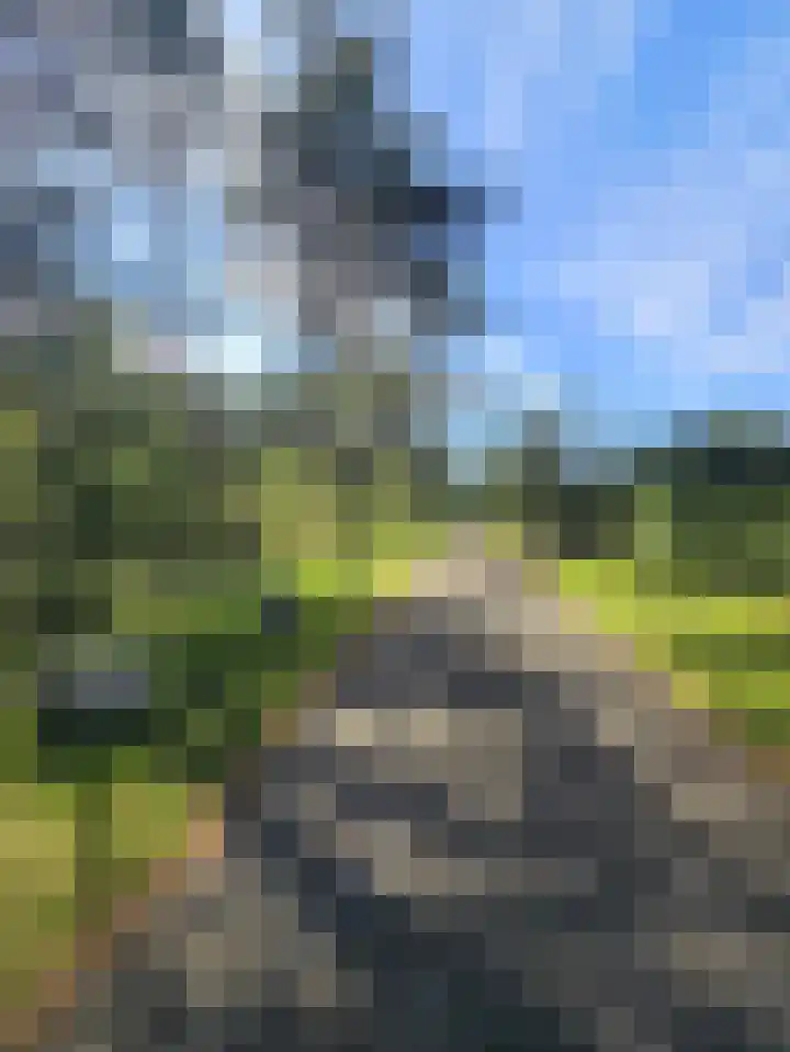 Plaggeweg 90 0111 Vierhouten thumbnail 29