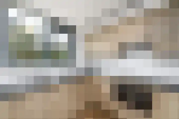 Plaisierbosch 25 Wolvega thumbnail 10