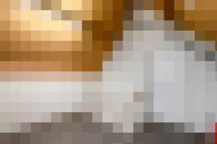 Plaisierbosch 25 Wolvega thumbnail 23