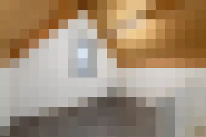 Plaisierbosch 25 Wolvega thumbnail 25