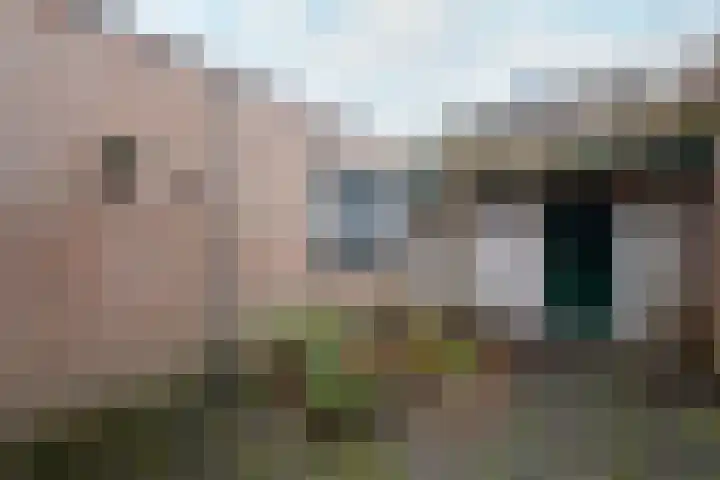 Plaisierbosch 25 Wolvega thumbnail 30