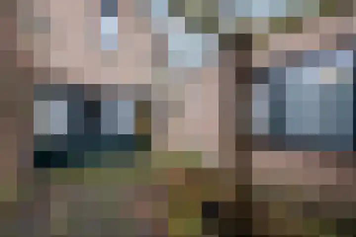 Plaisierbosch 25 Wolvega thumbnail 31