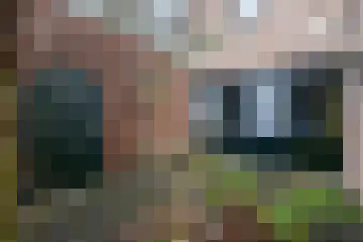 Plaisierbosch 25 Wolvega thumbnail 32