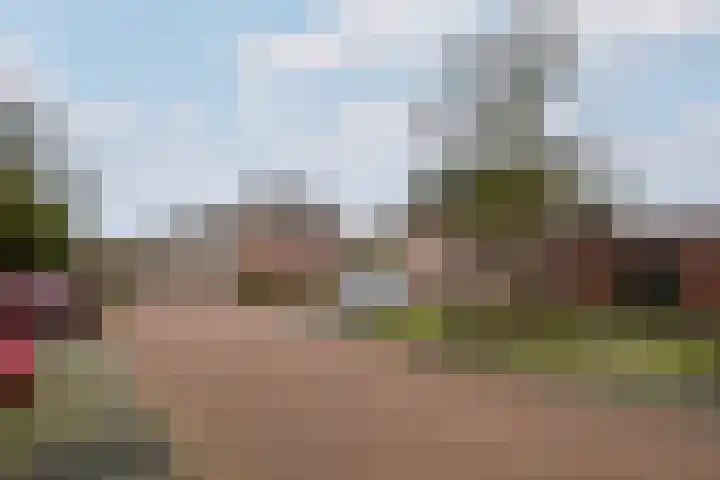 Plaisierbosch 25 Wolvega thumbnail 33