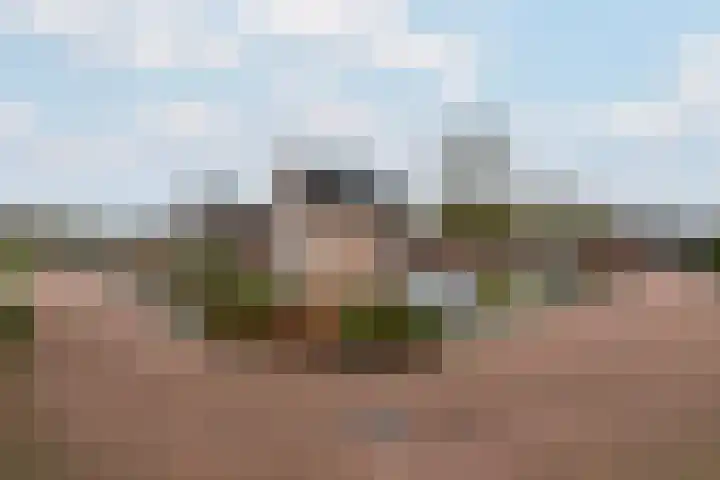 Plaisierbosch 25 Wolvega thumbnail 34