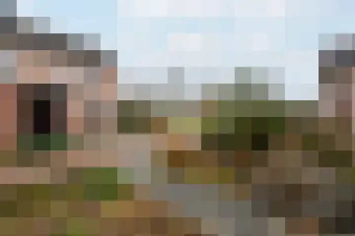 Plaisierbosch 25 Wolvega thumbnail 35
