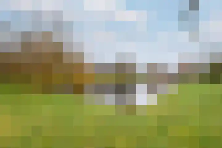 Plaisierbosch 25 Wolvega thumbnail 36