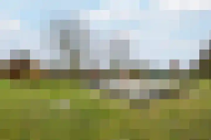 Plaisierbosch 25 Wolvega thumbnail 37