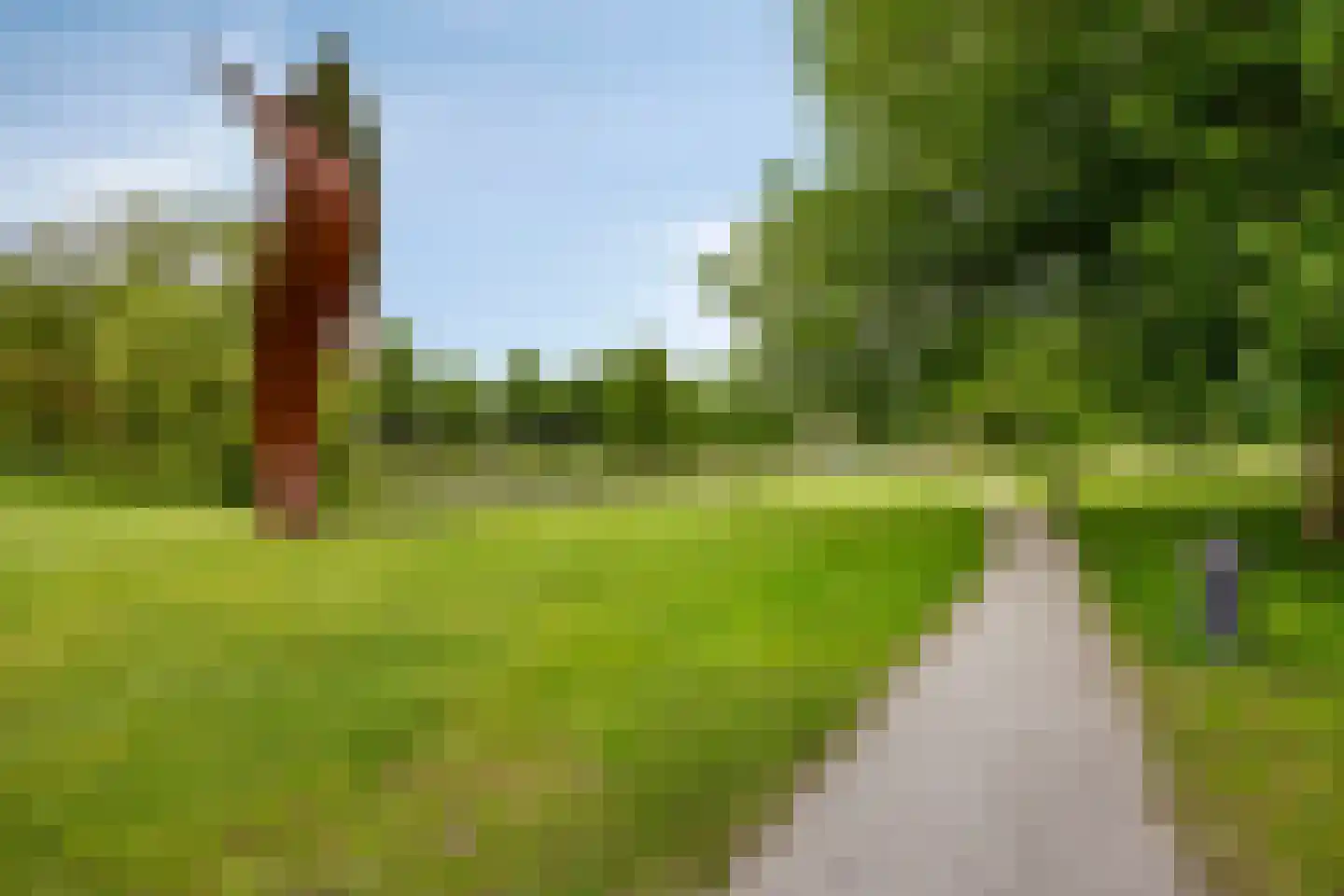 Plaisierbosch 3 Wolvega thumbnail 22