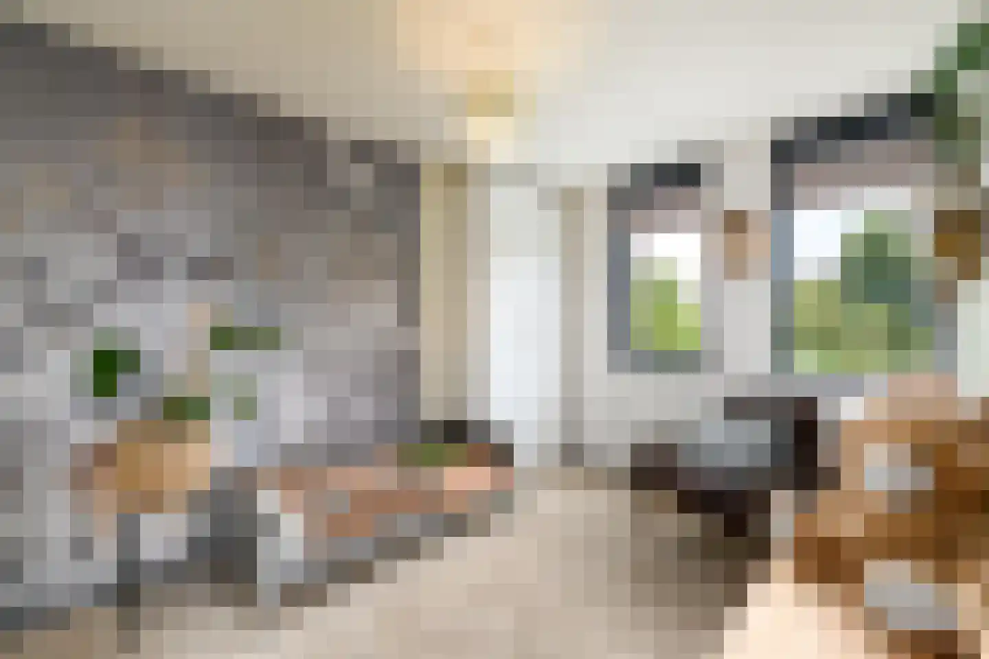 Plaisierbosch 33 Wolvega thumbnail 20