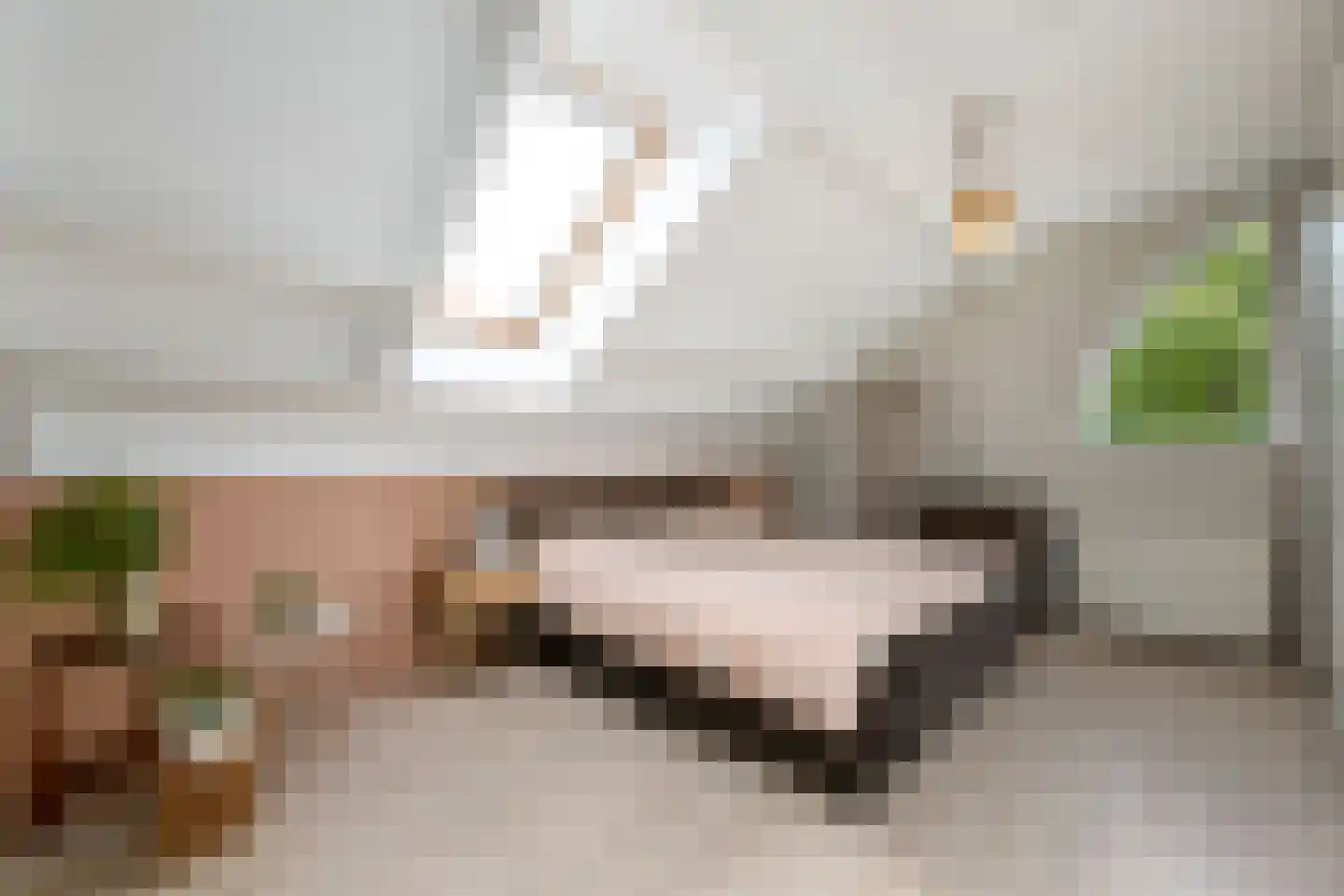 Plaisierbosch 33 Wolvega thumbnail 25