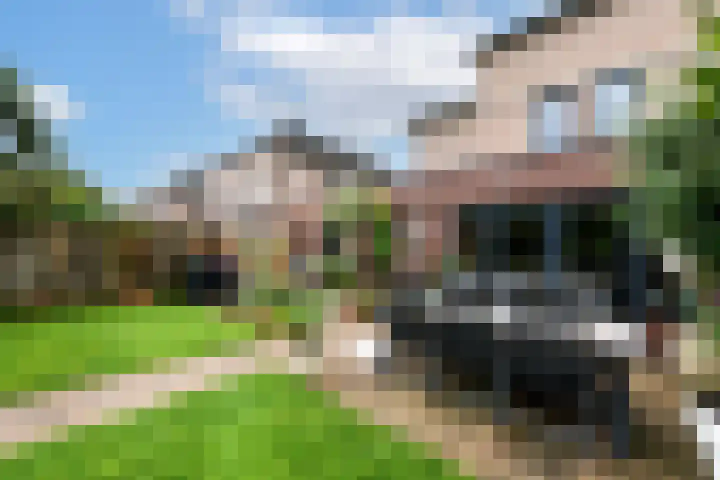 Plaisierbosch 33 Wolvega thumbnail 36