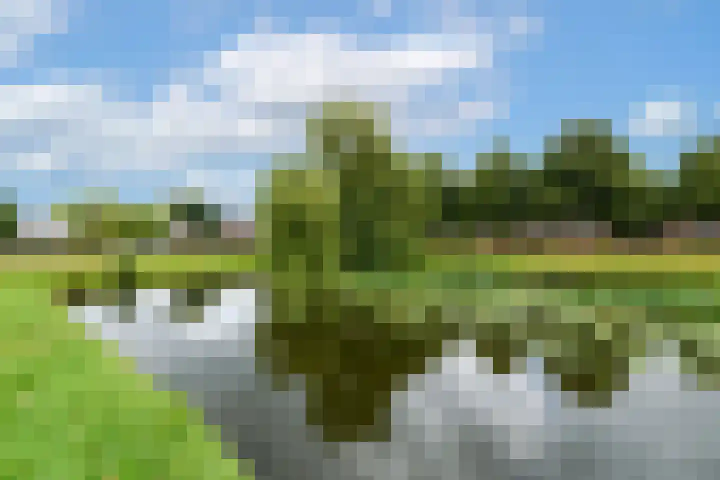 Plaisierbosch 33 Wolvega thumbnail 39