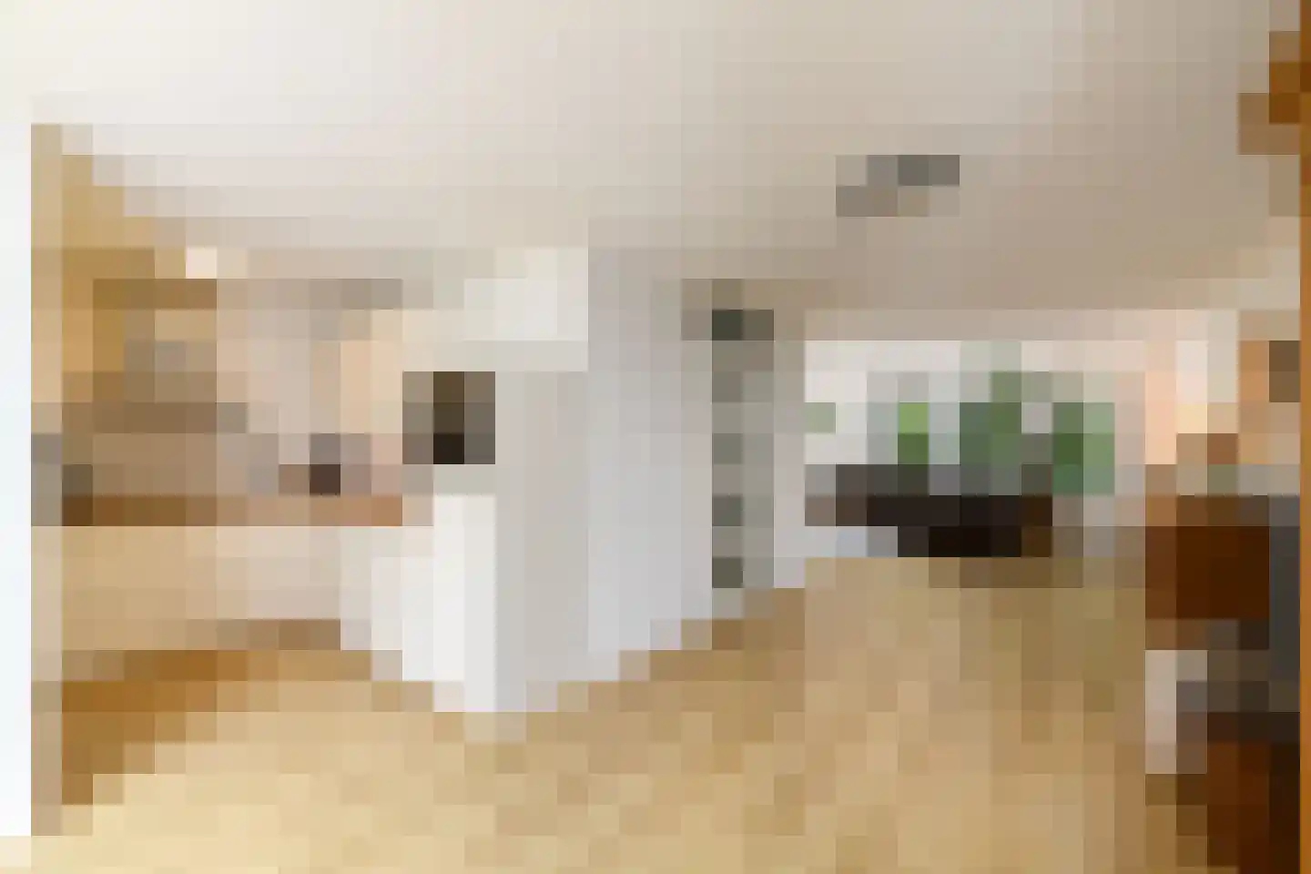 Plaisierbosch 33 Wolvega thumbnail 4