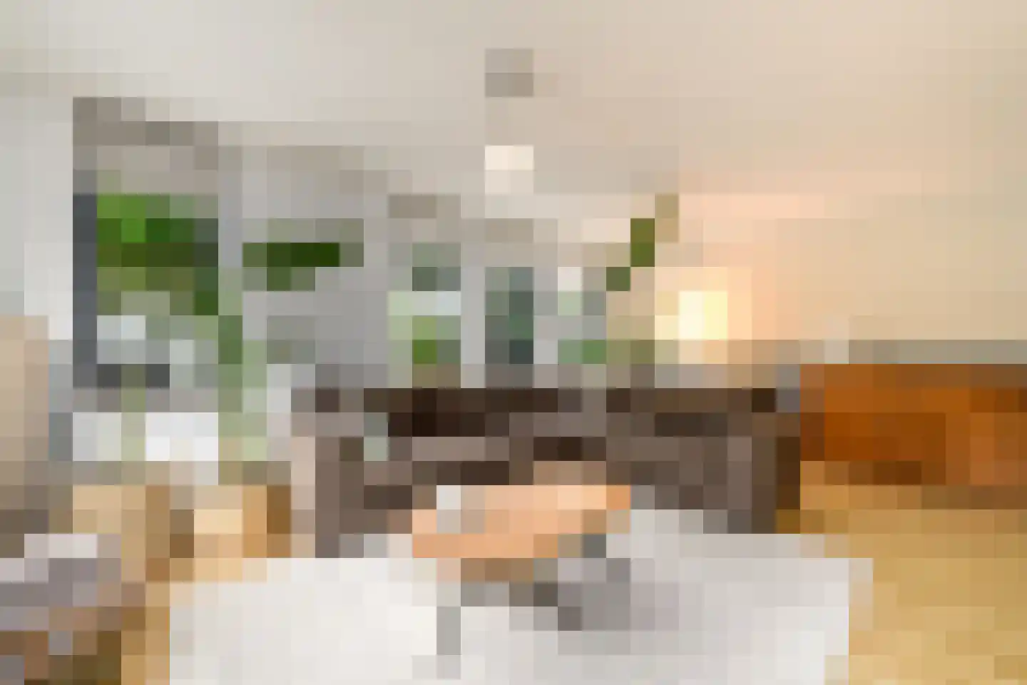 Plaisierbosch 33 Wolvega thumbnail 6