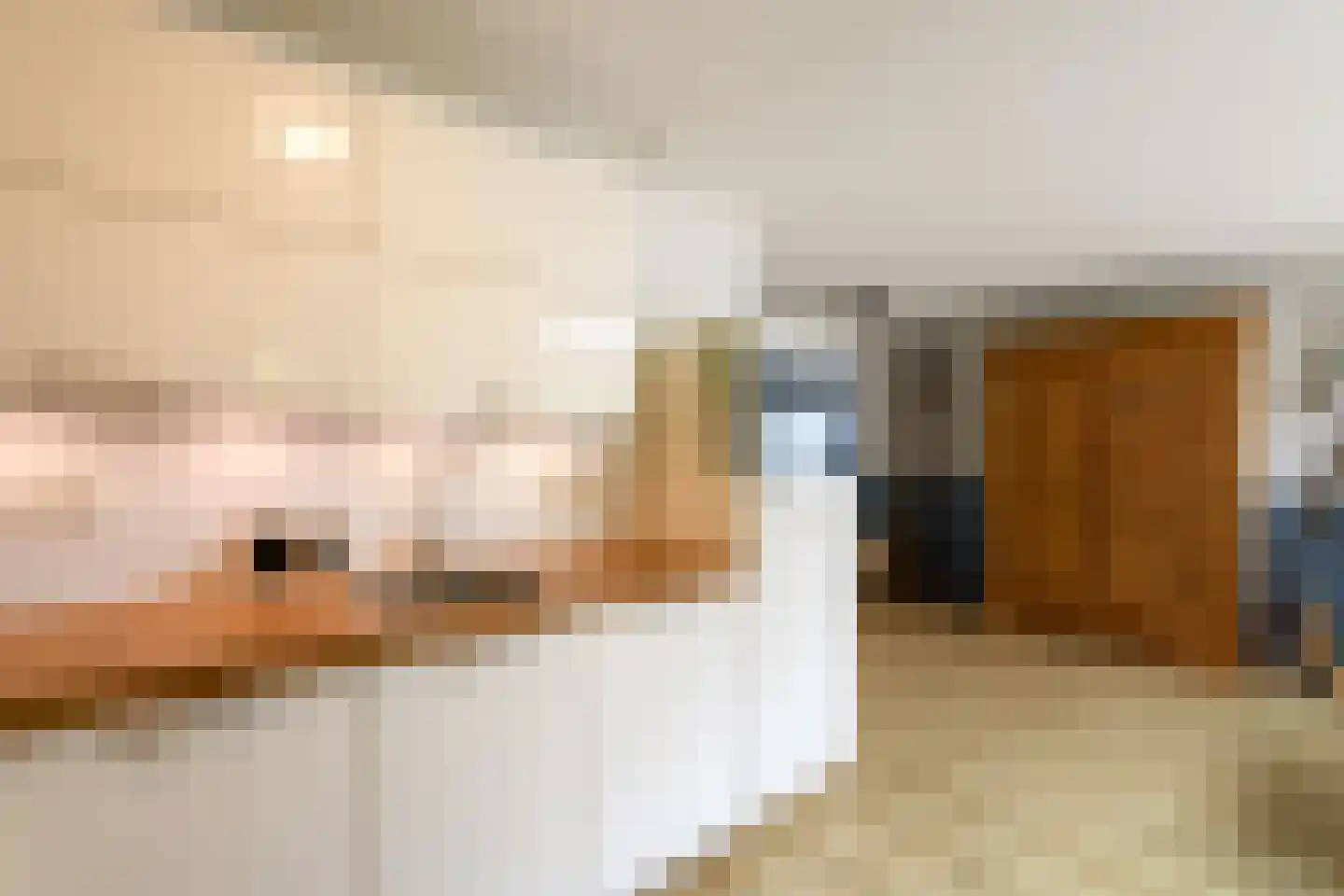 Plaisierbosch 33 Wolvega thumbnail 8