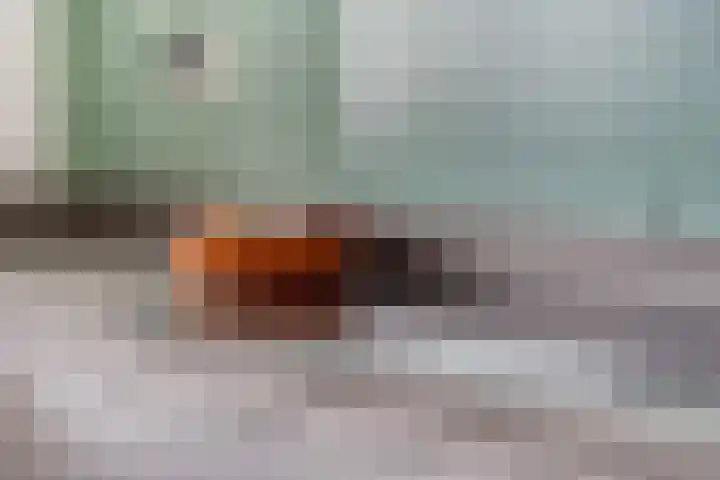 Plakse Veld 47 Bemmel thumbnail 17
