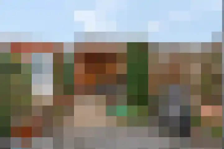 Plakse Veld 47 Bemmel thumbnail 36
