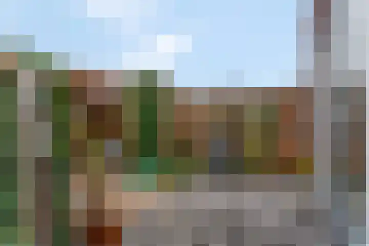 Plakse Veld 47 Bemmel thumbnail 37