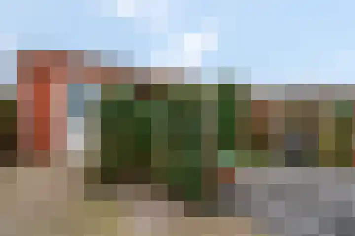 Plakse Veld 47 Bemmel thumbnail 38
