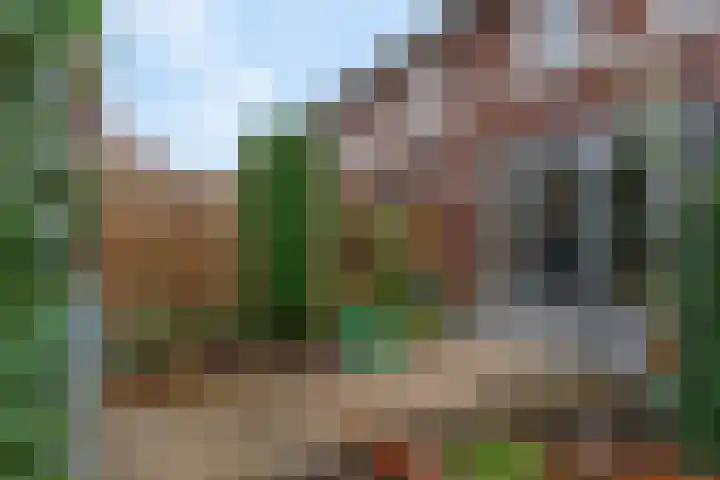 Plakse Veld 47 Bemmel thumbnail 39