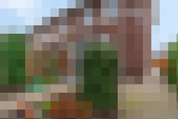 Plakse Veld 47 Bemmel thumbnail 40