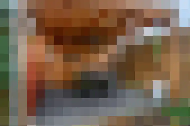 Plakse Veld 47 Bemmel thumbnail 41