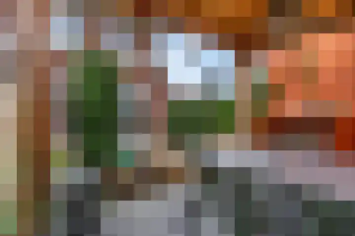 Plakse Veld 47 Bemmel thumbnail 42