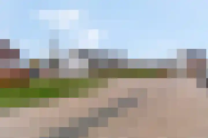 Plakse Veld 47 Bemmel thumbnail 49