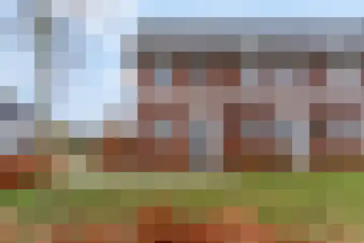 Plakse Veld 47 Bemmel thumbnail 5