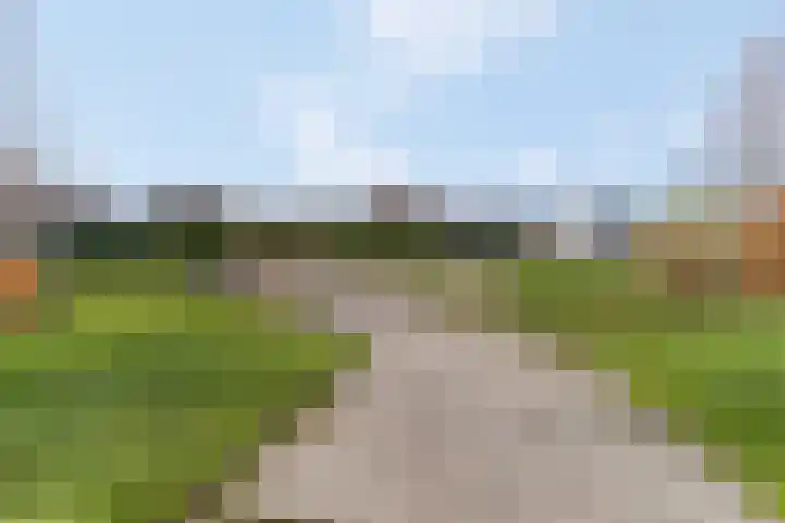 Plakse Veld 47 Bemmel thumbnail 50