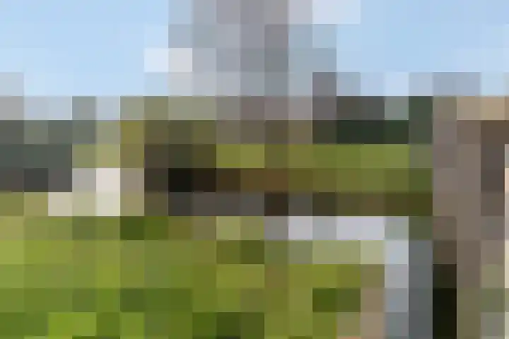 Plakse Veld 47 Bemmel thumbnail 51