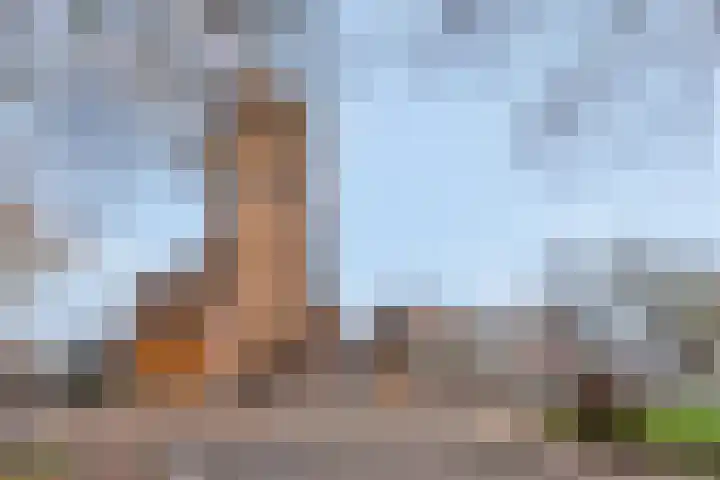 Plakse Veld 47 Bemmel thumbnail 52