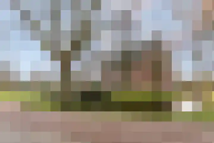 Plakse Veld 47 Bemmel thumbnail 54