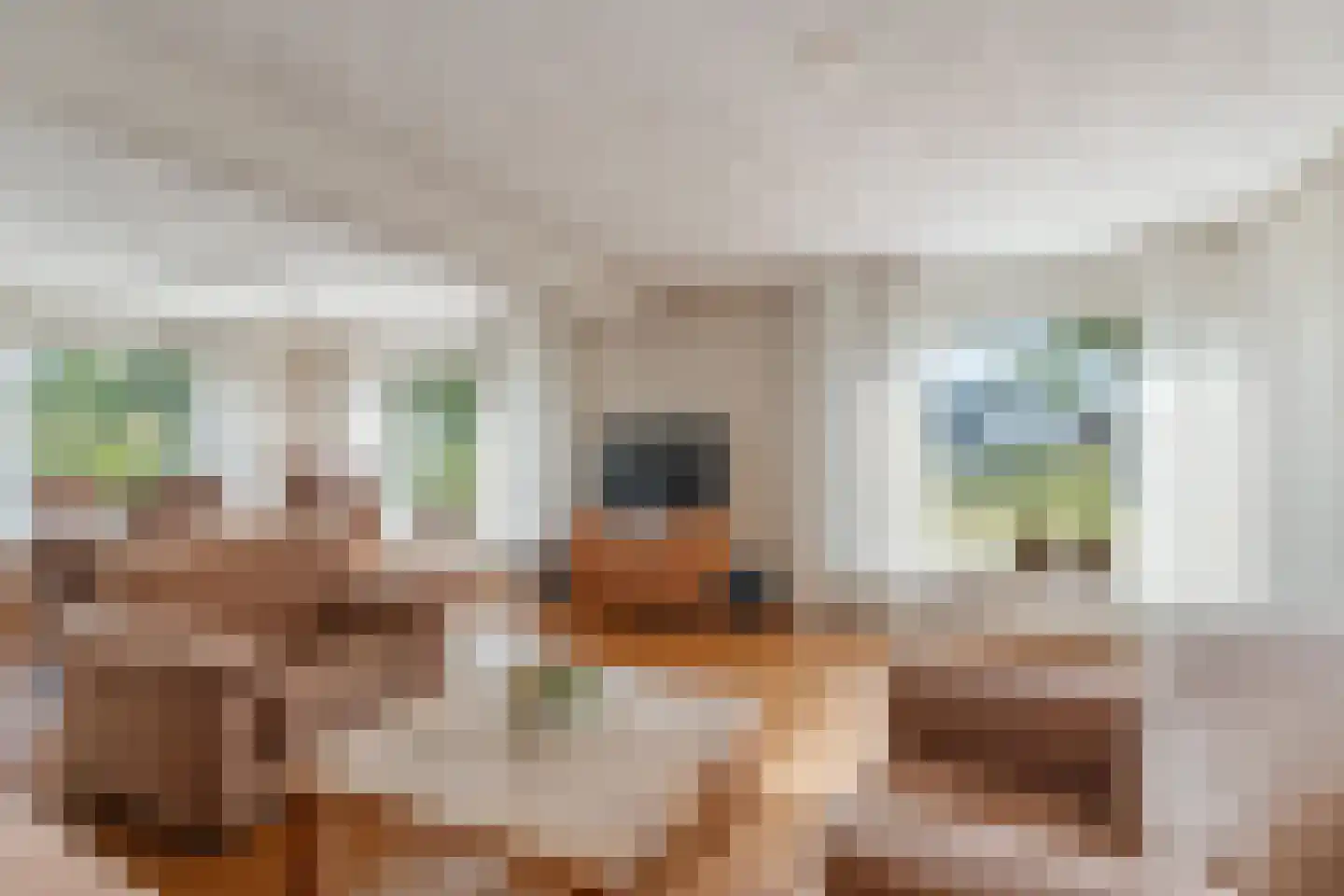 Plaksestraat 5 a Duiven thumbnail 14