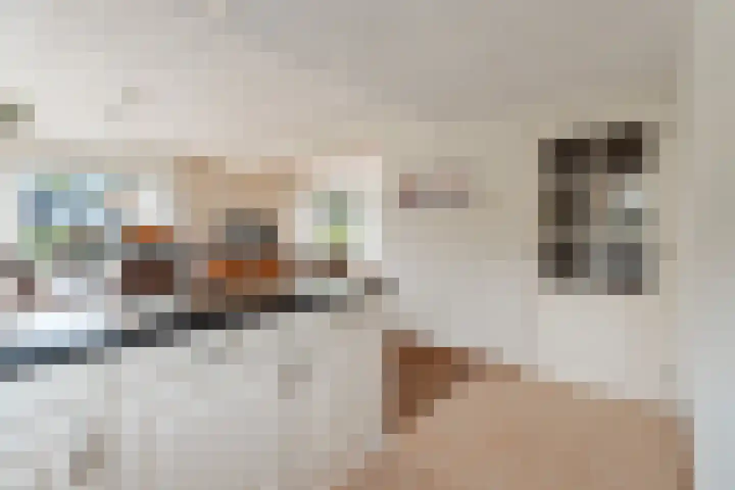 Plaksestraat 5 a Duiven thumbnail 18