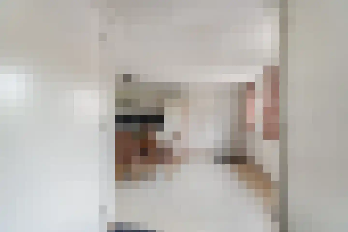 Plaksestraat 5 a Duiven thumbnail 25