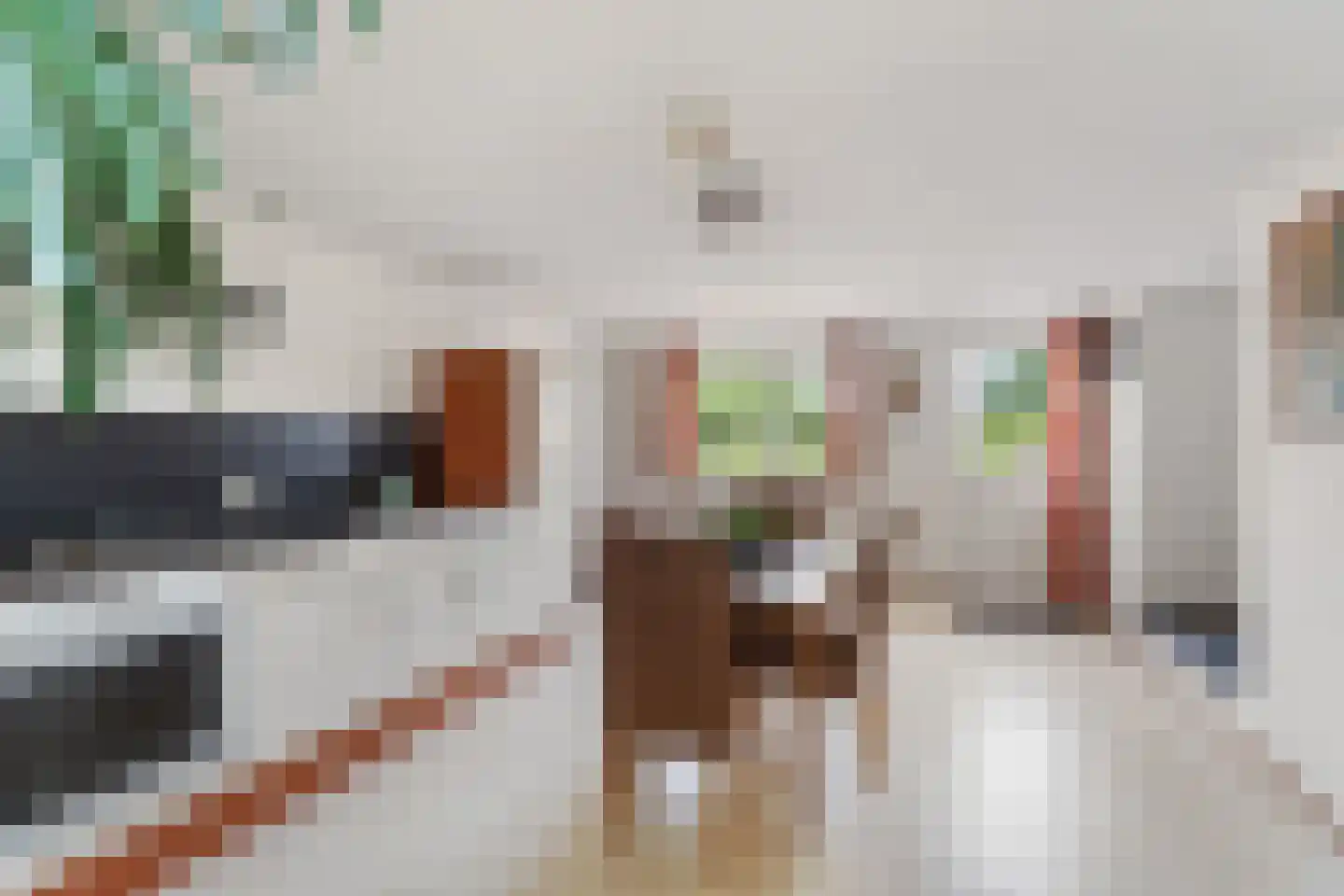 Plaksestraat 5 a Duiven thumbnail 27